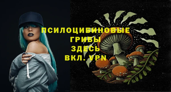 соль курить ск Абаза