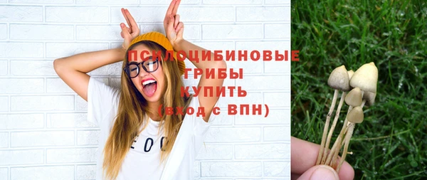 эйфоретик Абинск