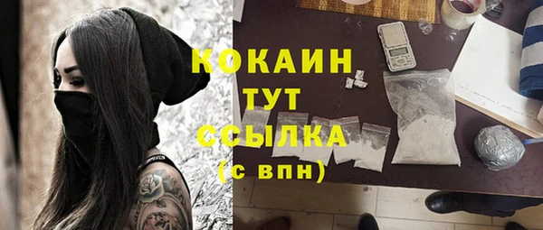 индика Абдулино